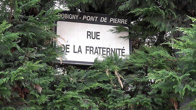 00001.00_14_32_00.Still006