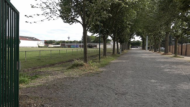 00001.00_08_32_44.Still041