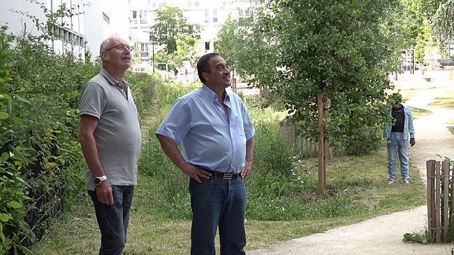 00001.00_12_37_21.Still064