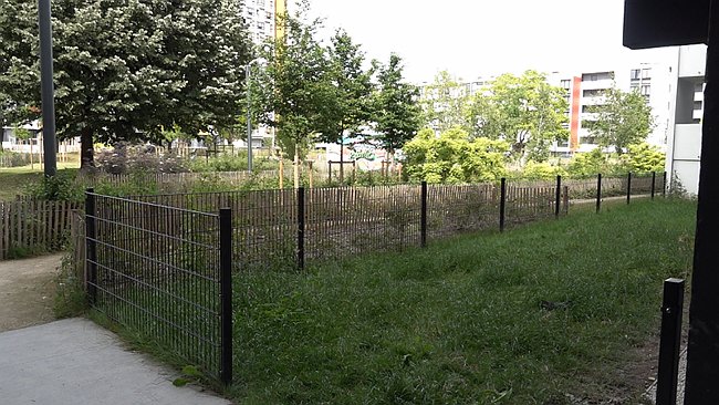 00001.00_12_51_23.Still066