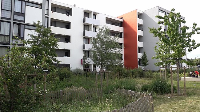 00001.00_12_53_01.Still067