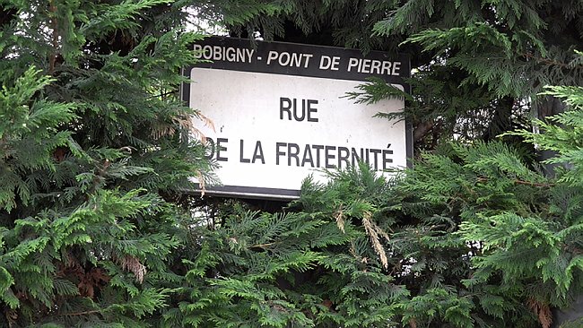 00001.00_14_31_06.Still080