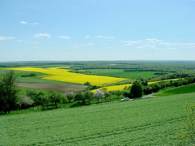 Fnaca-06.05.2009-153