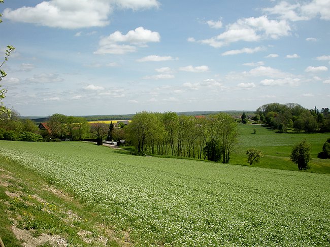 Fnaca-06.05.2009-251
